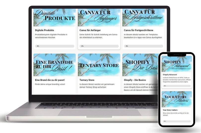 DSM - Digital Success Mastery - Social - Media - mit - ErfolgOnlinekurs