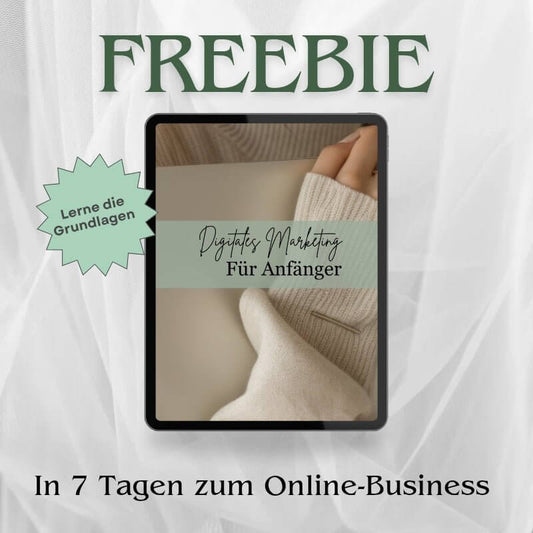 Produktbild von einem Freebie In 7 Tagen zum Online Business.